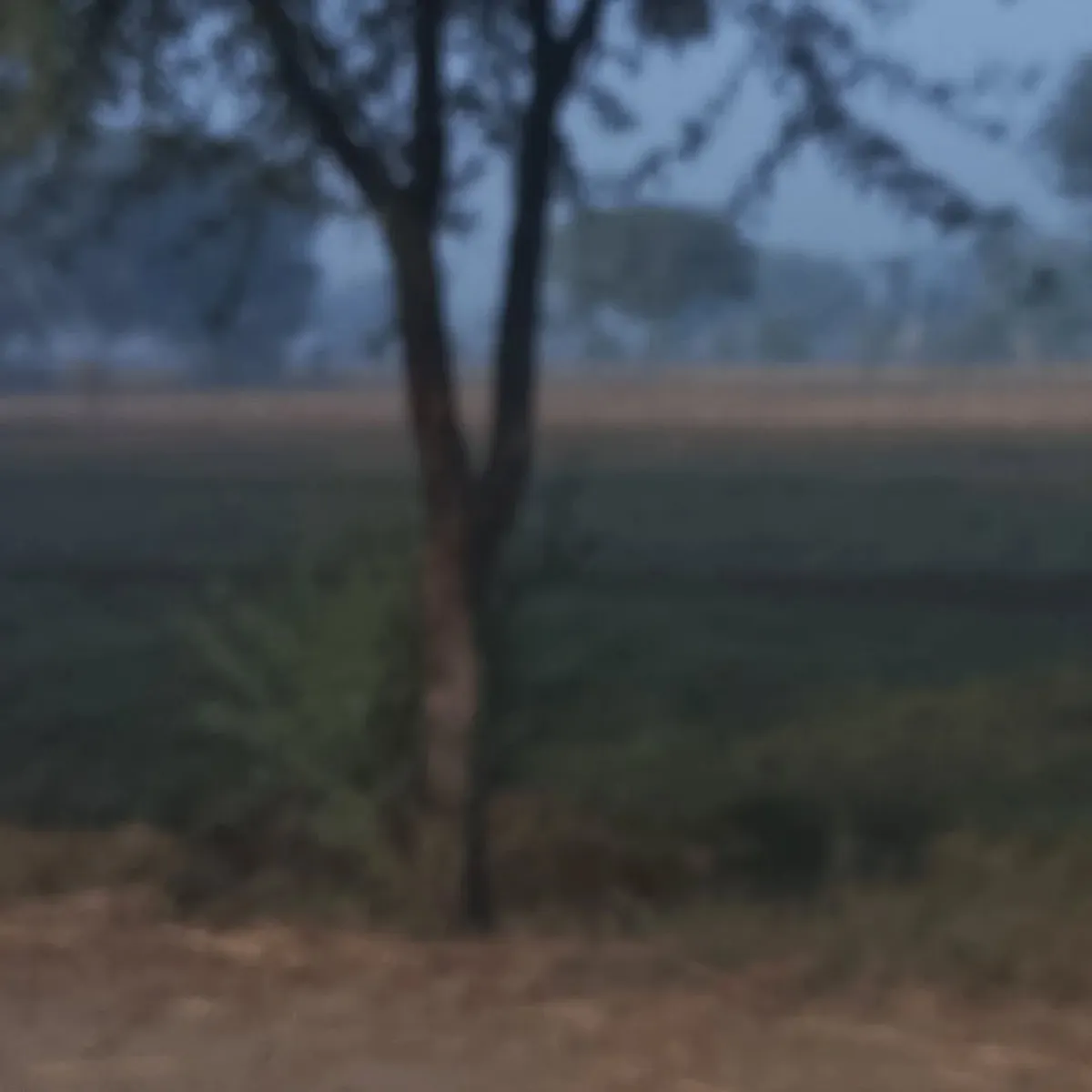 Blurred Horizon - Atmospheric photography by Sagheer Akram