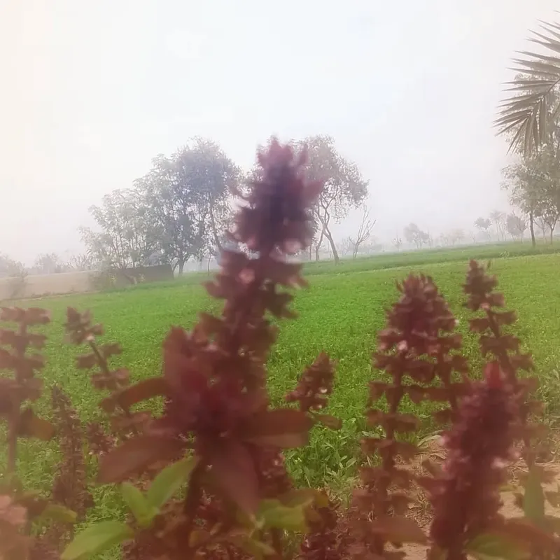 Macro Lens - Abstract photography by Sagheer Akram