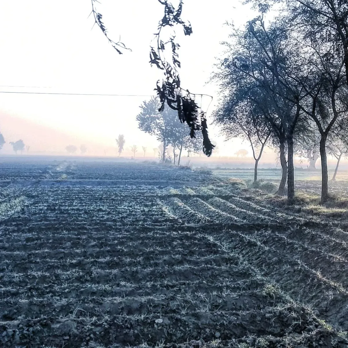 Frosty Fields - Nature photography by Sagheer Akram
