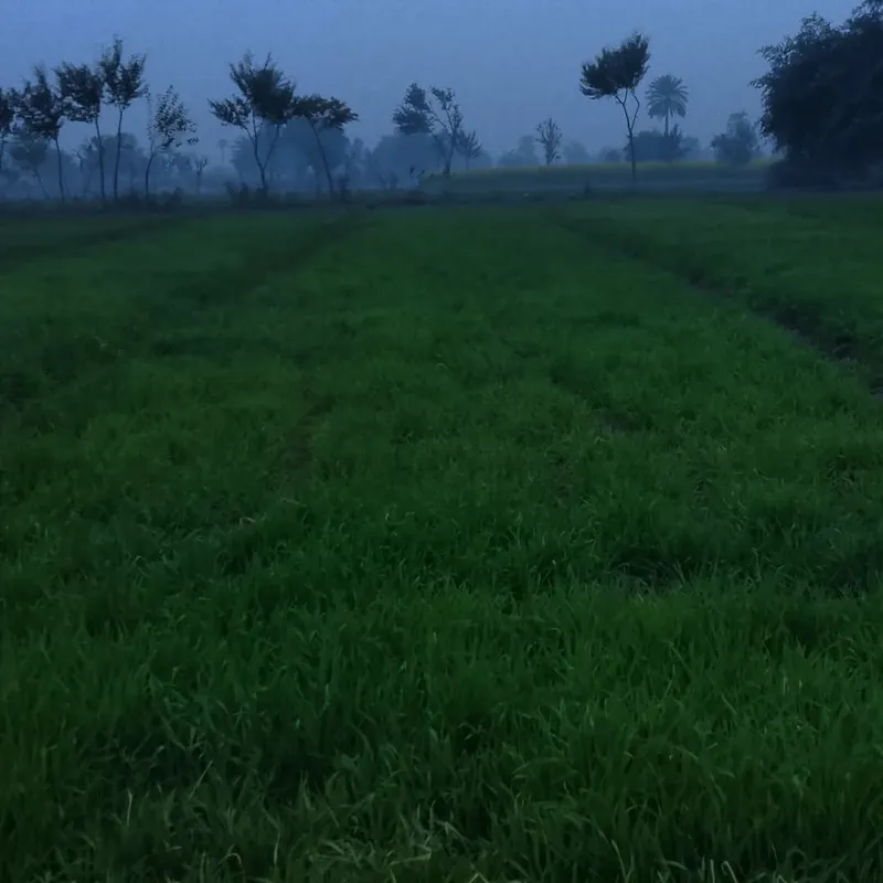 Shadows - Abstract photography by Sagheer Akram