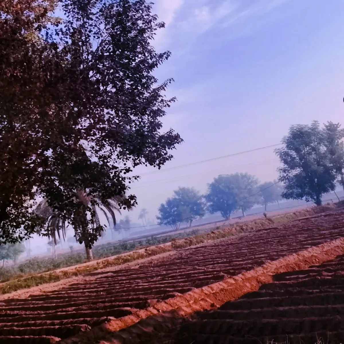 Rural Dawn - Nature photography by Sagheer Akram
