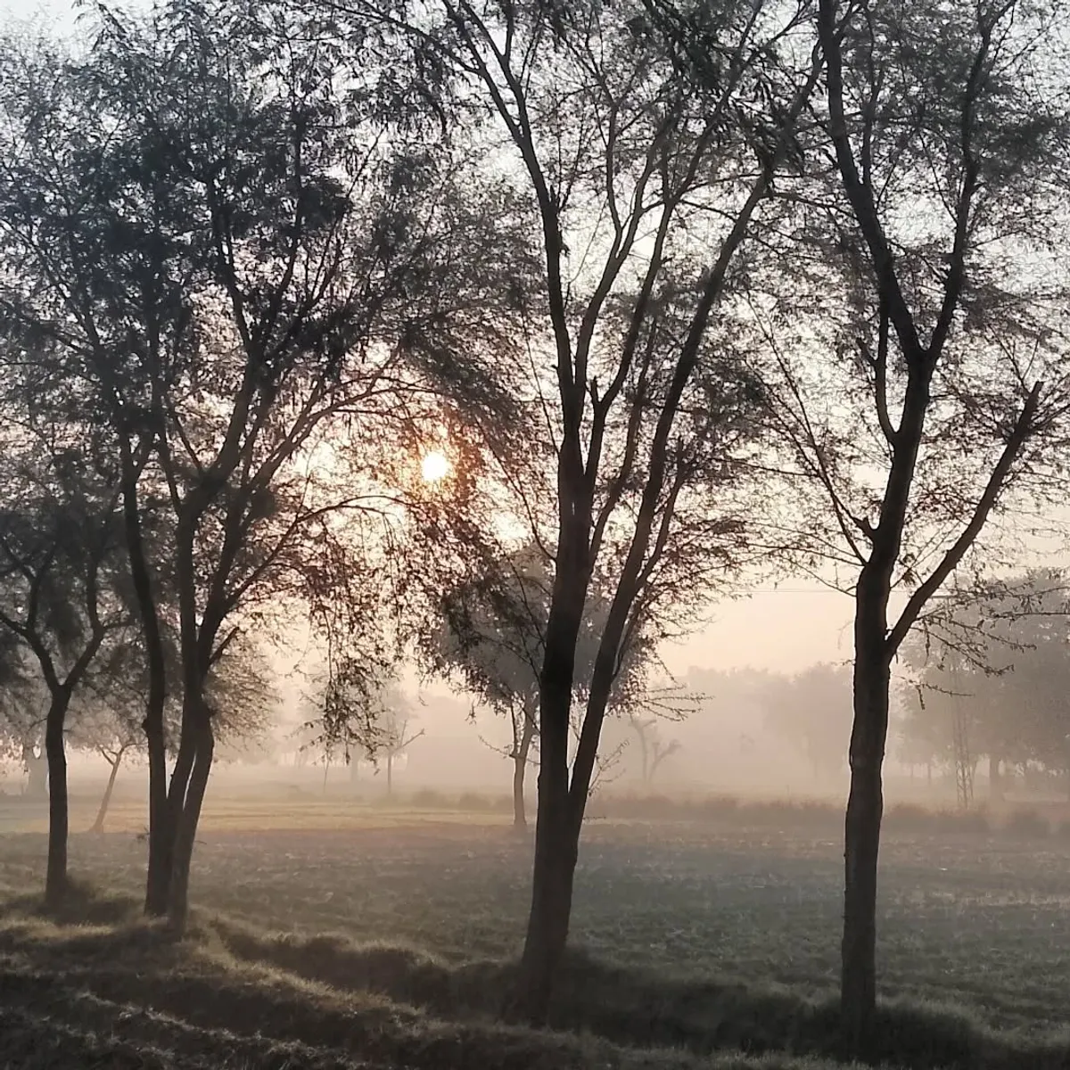 Midnight Haze - Atmospheric photography by Sagheer Akram