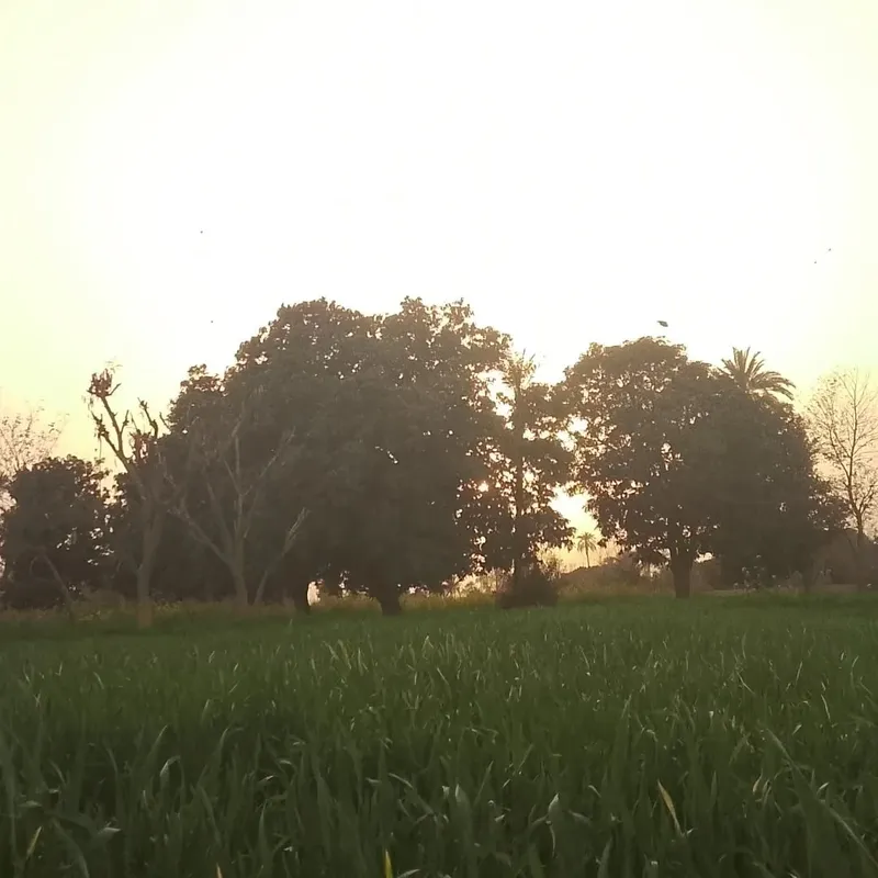 Night Sky - Late Night photography by Sagheer Akram