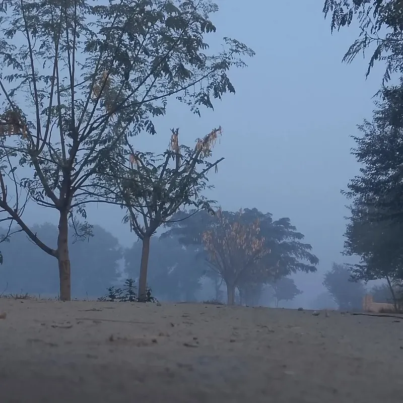 Bloom - Nature photography by Sagheer Akram