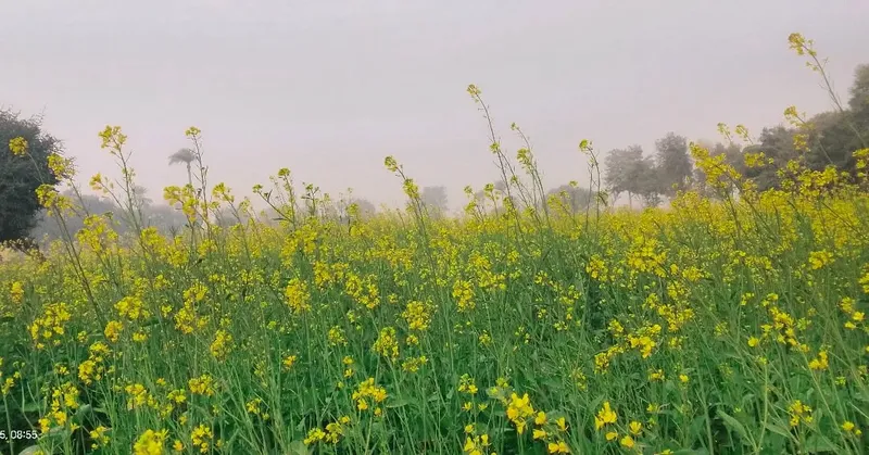 Nature's Palette - Nature photography by Sagheer Akram