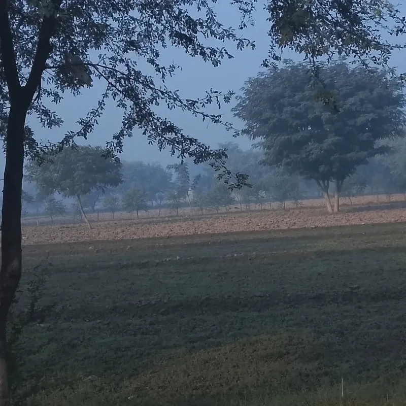 Vibrant Growth - Nature photography by Sagheer Akram