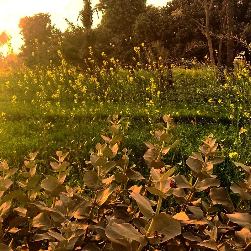 Disconnected - Stillness photography by Sagheer Akram