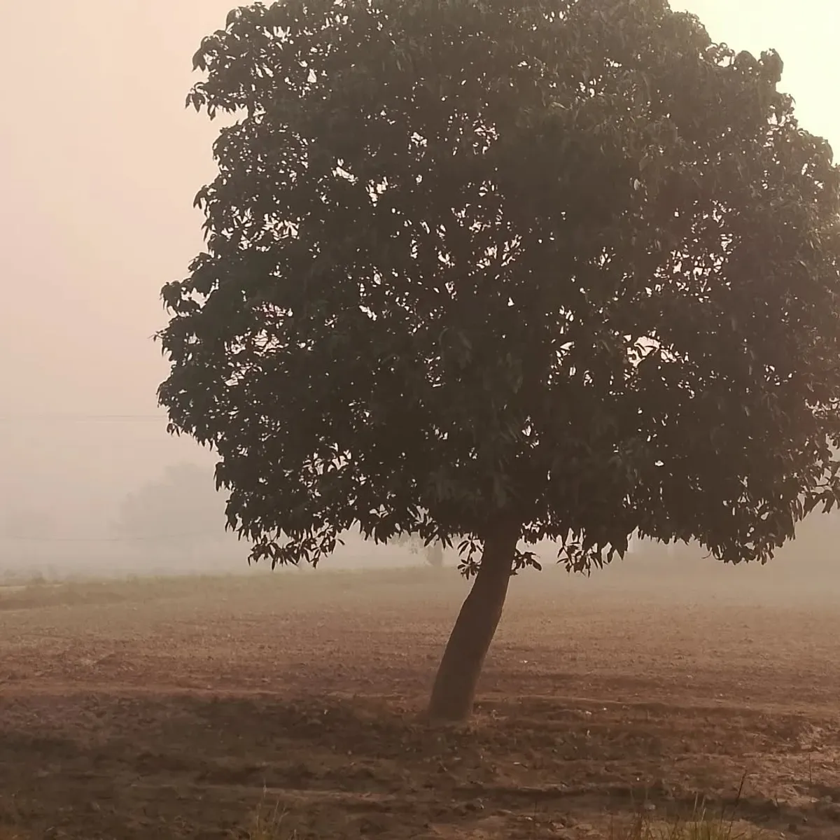 Ethereal Mist - Atmospheric photography by Sagheer Akram