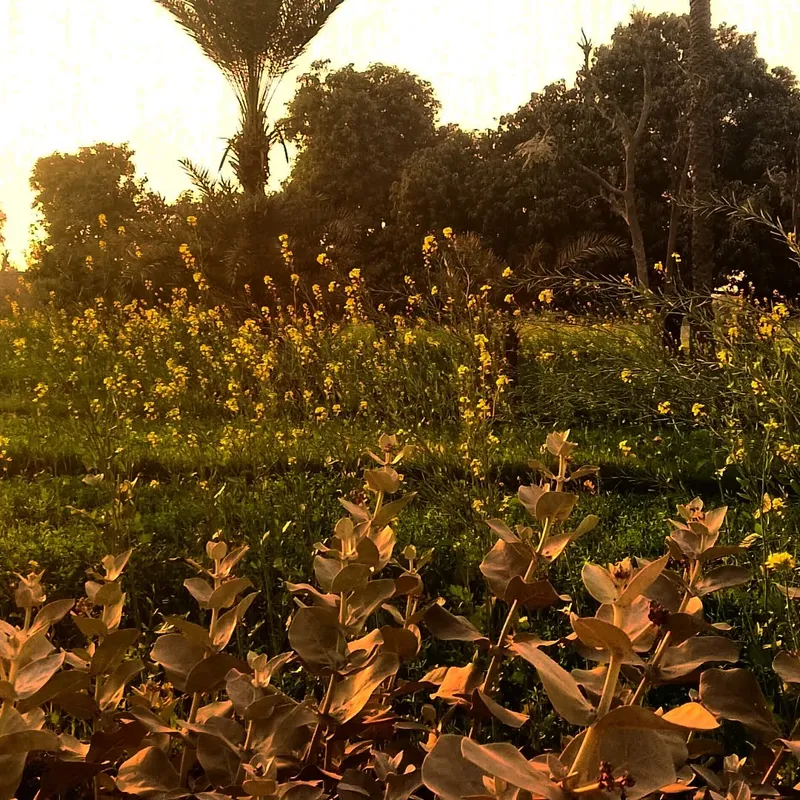 Silence - Stillness photography by Sagheer Akram