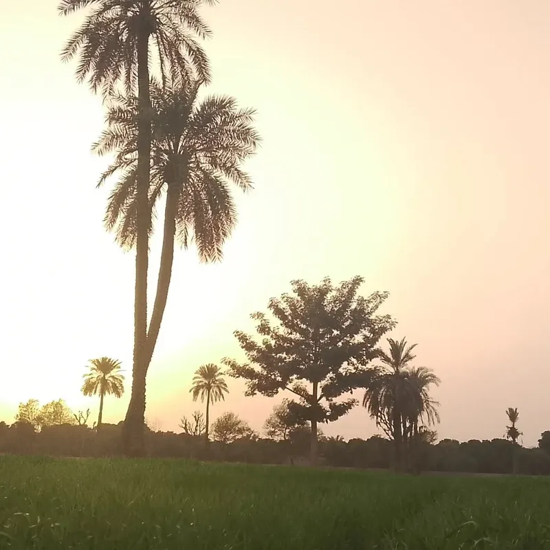 The Escape - Stillness photography by Sagheer Akram