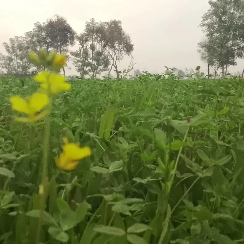 The Spot - Stillness photography by Sagheer Akram