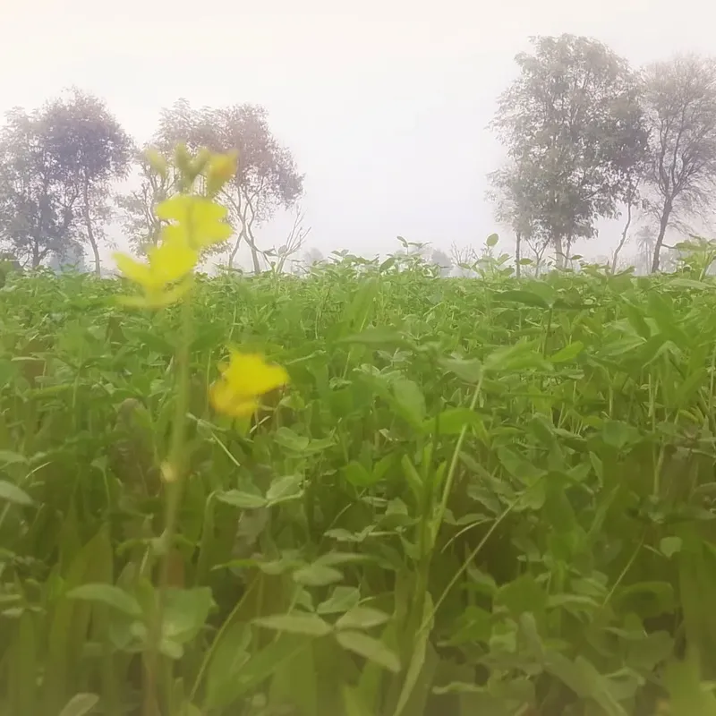 City Lights - Urban photography by Sagheer Akram