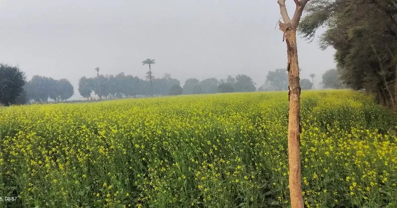 Urban Blur - Urban photography by Sagheer Akram