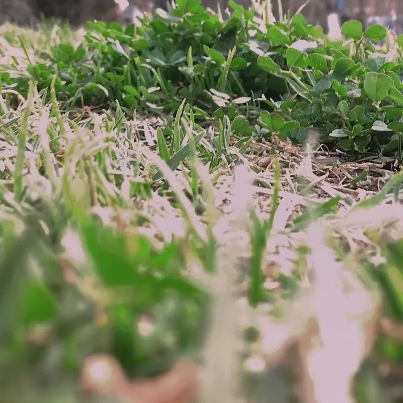 Urban Grid - Urban photography by Sagheer Akram